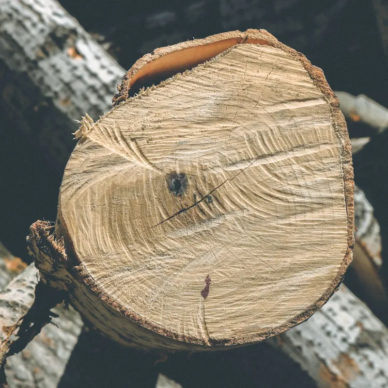 Legno certificato 